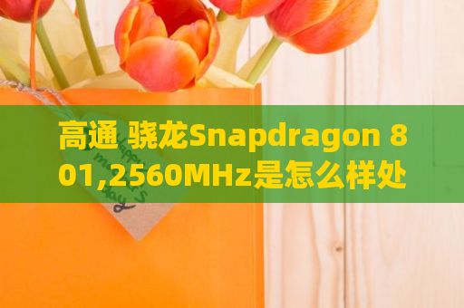 高通 骁龙Snapdragon 801,2560MHz是怎么样处理器详情（Snapdragon 801 ）
