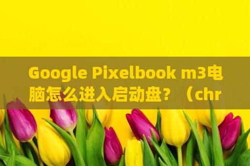Google Pixelbook m3电脑怎么进入启动盘？（chromebook pixel）