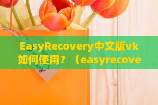 EasyRecovery中文版vk如何使用？（easyrecover软件）