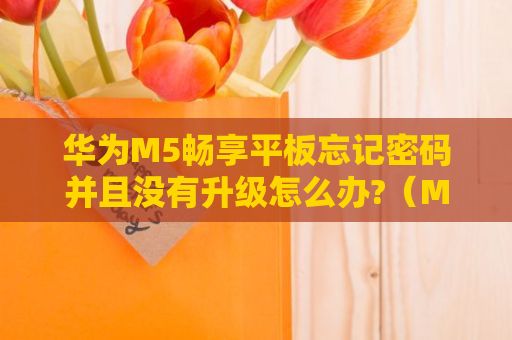 华为M5畅享平板忘记密码并且没有升级怎么办?（M5畅享版 ）