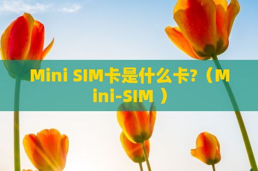 Mini SIM卡是什么卡?（Mini-SIM ）